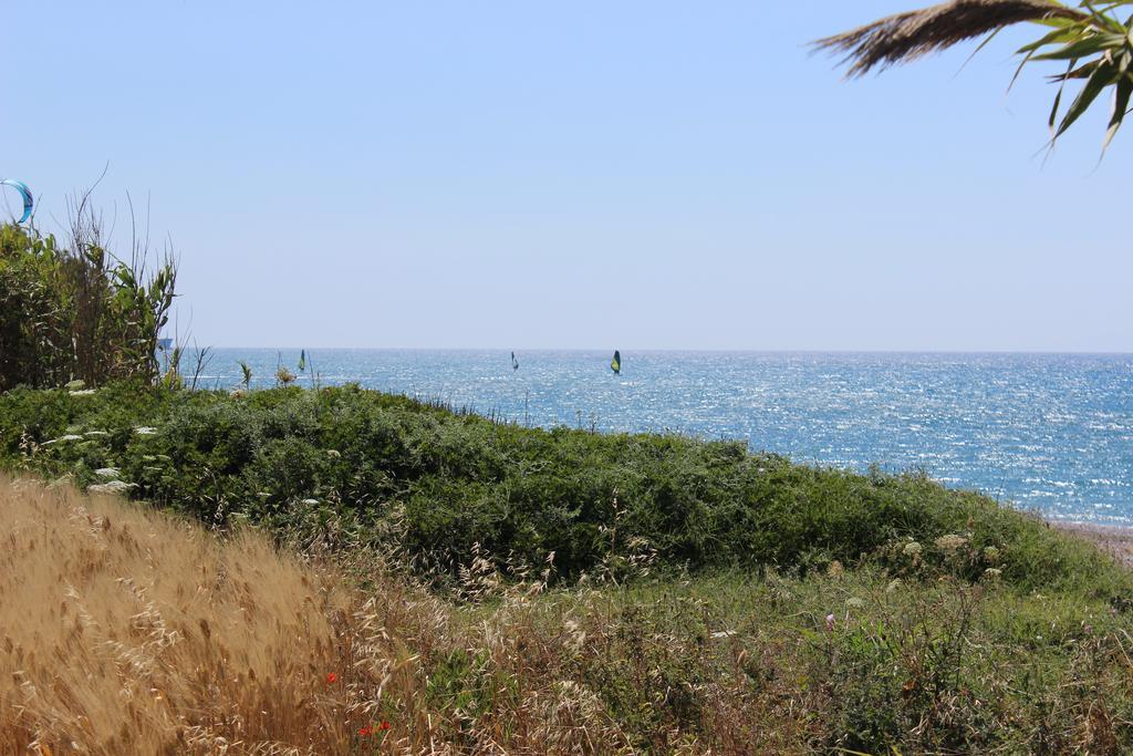 Theológos Corellia Asterias Beach Hotel מראה חיצוני תמונה
