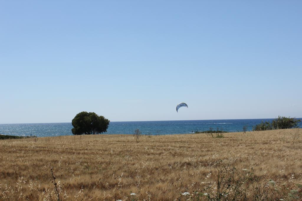 Theológos Corellia Asterias Beach Hotel מראה חיצוני תמונה