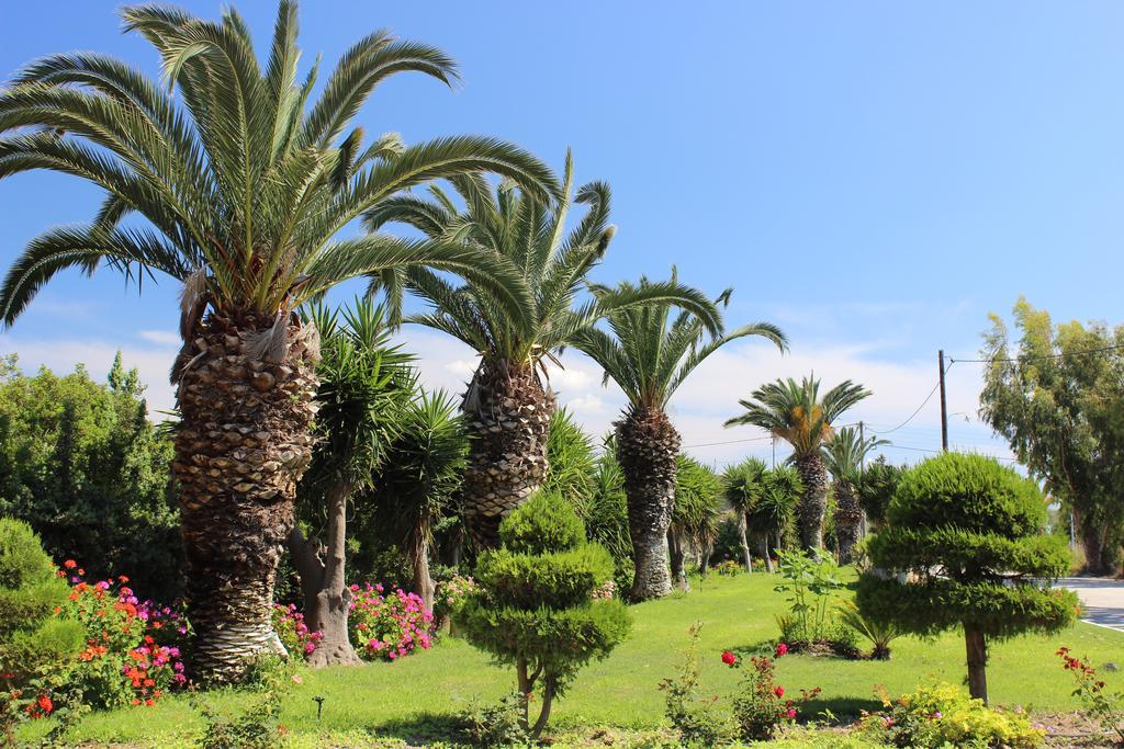 Theológos Corellia Asterias Beach Hotel מראה חיצוני תמונה